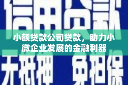 贵阳小额贷款公司贷款，助力小微企业发展的金融利器