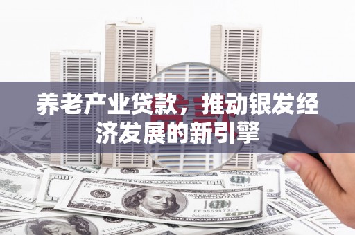 贵阳养老产业贷款，推动银发经济发展的新引擎