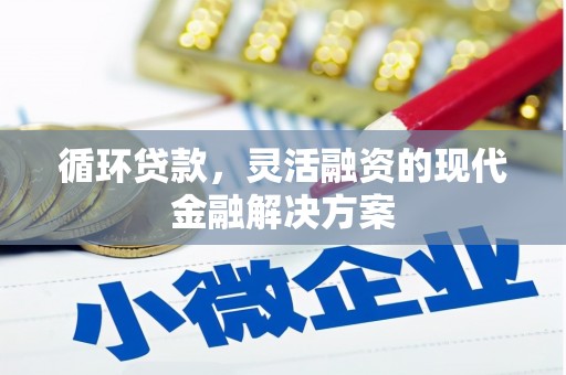 贵阳循环贷款，灵活融资的现代金融解决方案