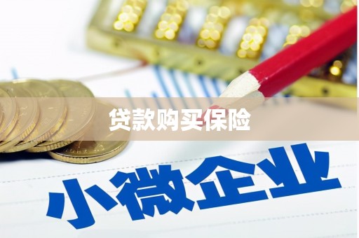 贵阳贷款购买保险