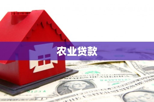贵阳农业贷款