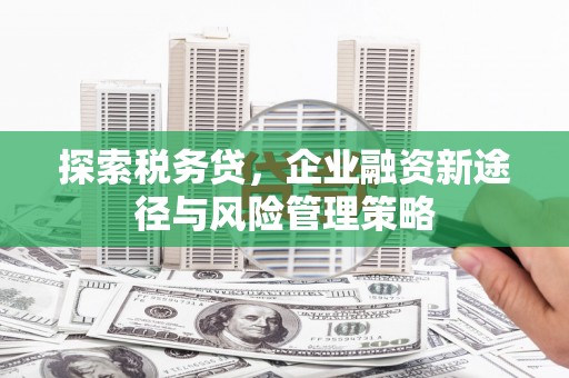贵阳探索税务贷，企业融资新途径与风险管理策略