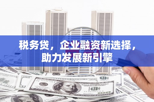 贵阳税务贷，企业融资新选择，助力发展新引擎