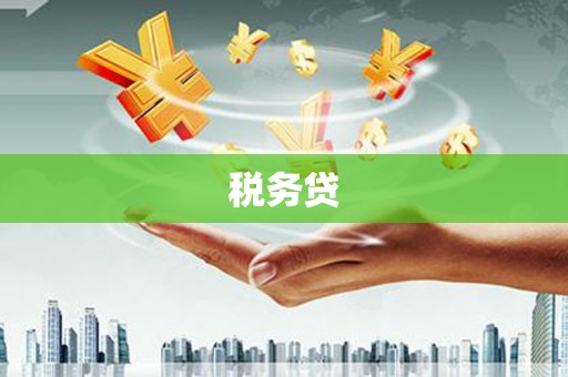 贵阳税务贷