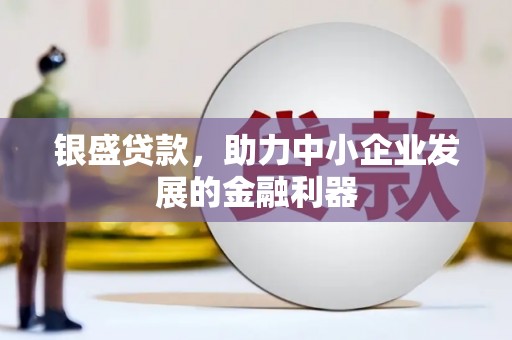 贵阳银盛贷款，助力中小企业发展的金融利器