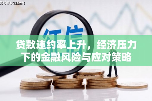 贵阳贷款违约率上升，经济压力下的金融风险与应对策略