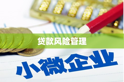 贵阳贷款风险管理