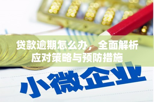 贵阳贷款逾期怎么办，全面解析应对策略与预防措施