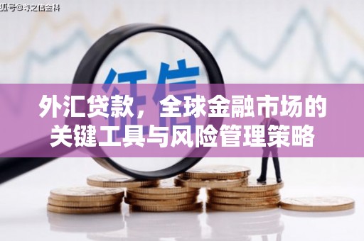 贵阳外汇贷款，全球金融市场的关键工具与风险管理策略