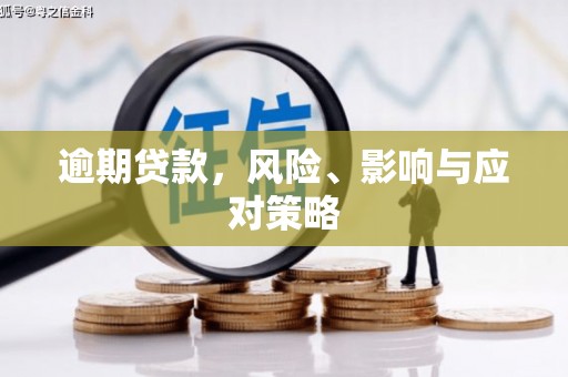 贵阳逾期贷款，风险、影响与应对策略