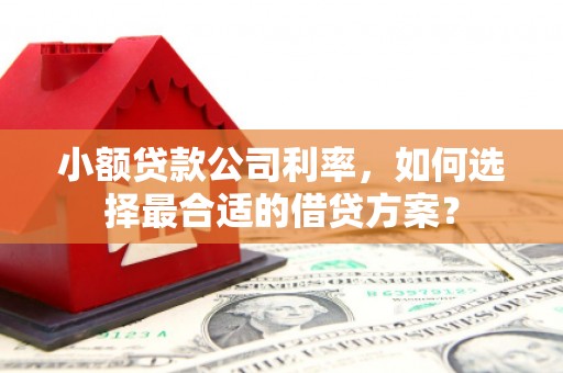 贵阳小额贷款公司利率，如何选择最合适的借贷方案？