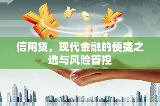 贵阳信用贷，现代金融的便捷之选与风险管控