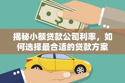 贵阳揭秘小额贷款公司利率，如何选择最合适的贷款方案