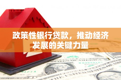 贵阳政策性银行贷款，推动经济发展的关键力量