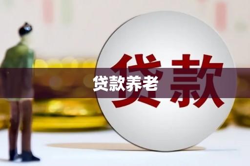 贵阳贷款养老