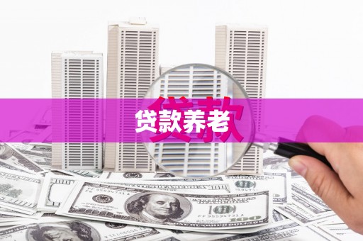 贵阳贷款养老
