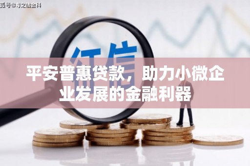 贵阳平安普惠贷款，助力小微企业发展的金融利器