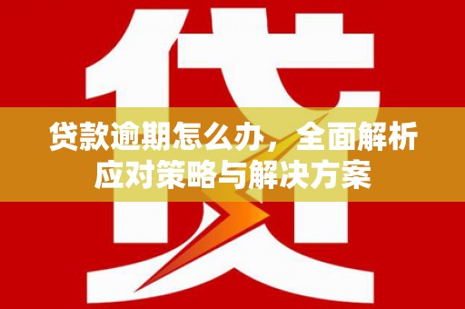 贵阳贷款逾期怎么办，全面解析应对策略与解决方案